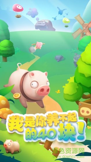 我的肉40块