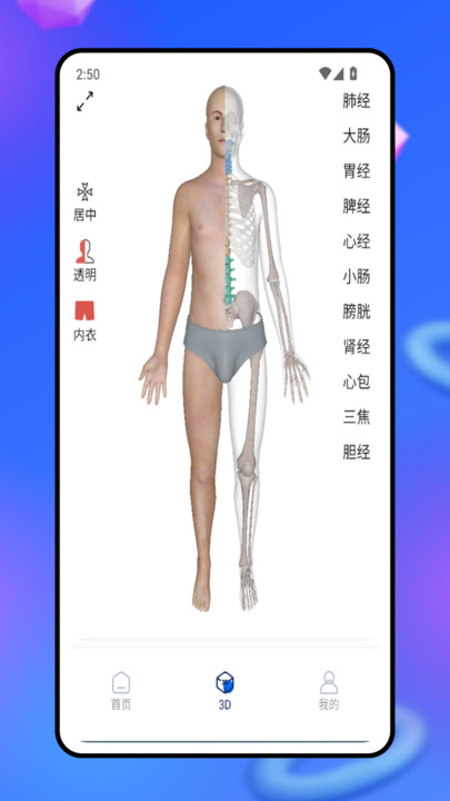 3d人体模型