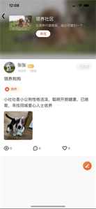 财猫双犬