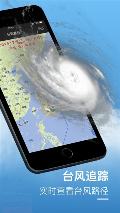 水母天气 水母天气