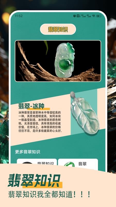 翡翠大王急速版