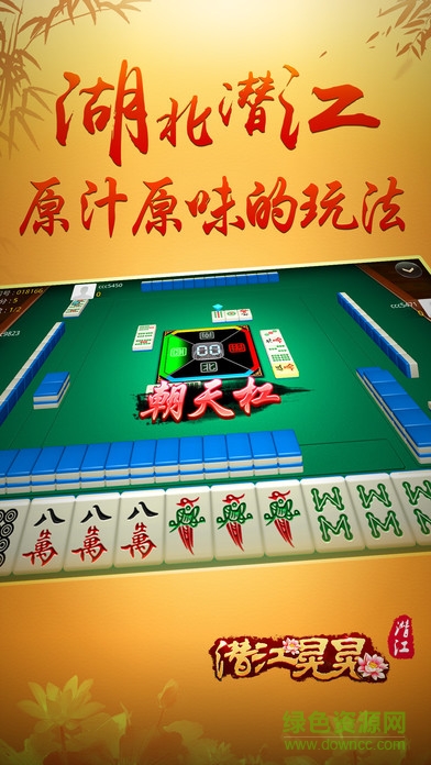 赖子麻将