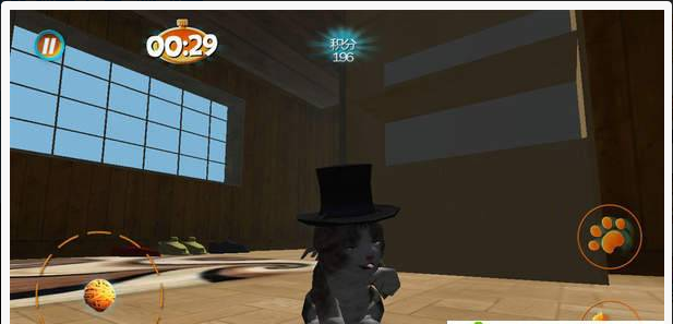 真实小猫3d模拟