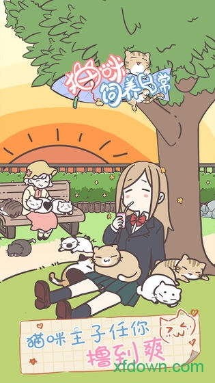 猫咪饲养日常 猫咪饲养日常