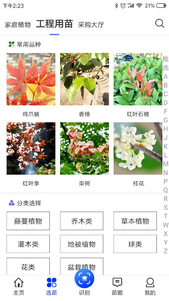 苗木之家