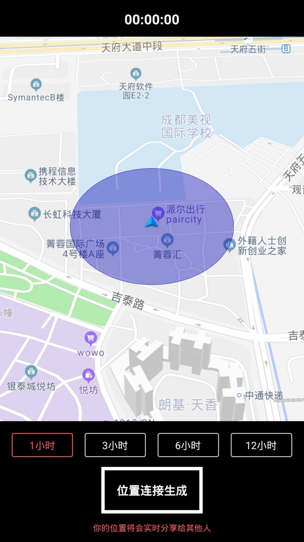 体语