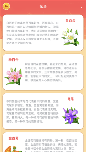 我的庄园