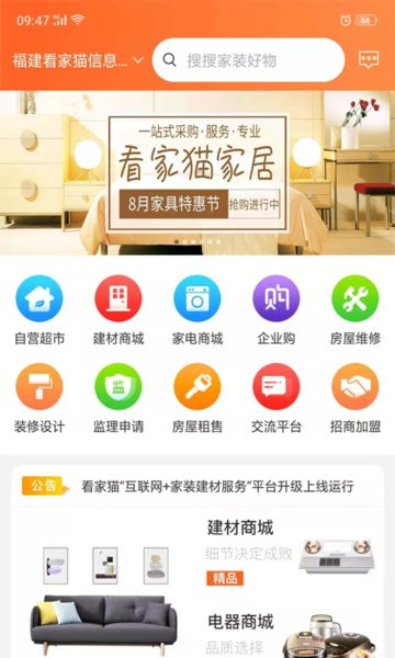 看家猫