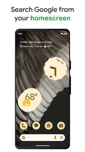 googleplay官方版(Google Play 商店)