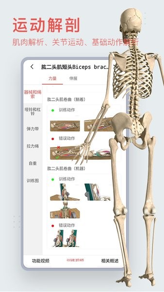 3D运动健康官方最新版