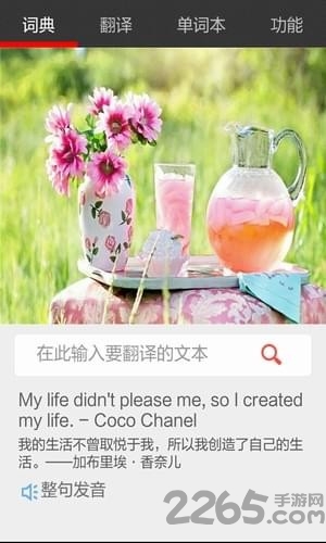 小崔词典