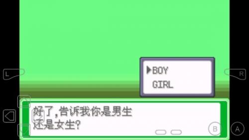 口袋妖怪小智丰缘篇