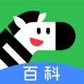 斑马百科 安卓版v2.11.0