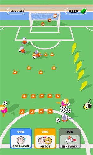 猫足球训练Cats Football Training