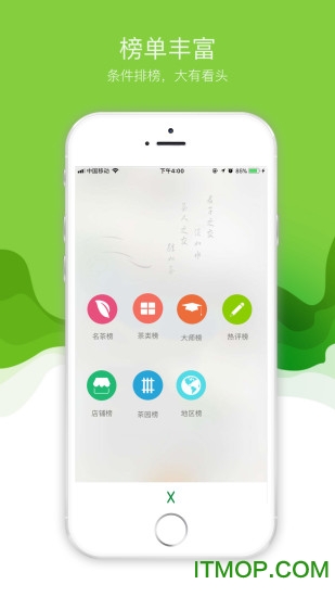 评茶大师