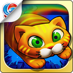 City Cat(城市猫app下载)