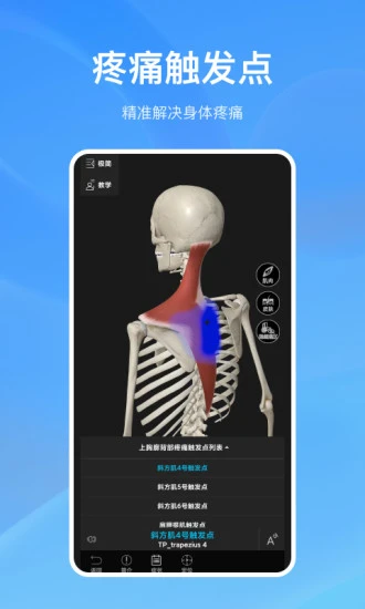 解剖大师 免费最新版v4.3.2