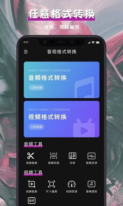 视频格式转换大师