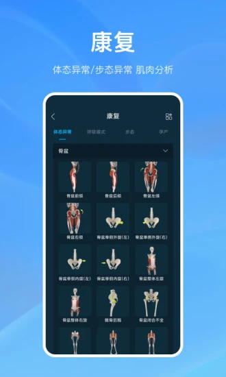 解剖大师 免费最新版v4.3.2