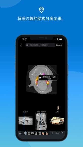 vet anatomy解剖软件中文版