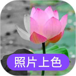 数创照片上色