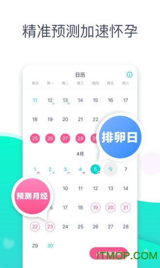 共乐孕