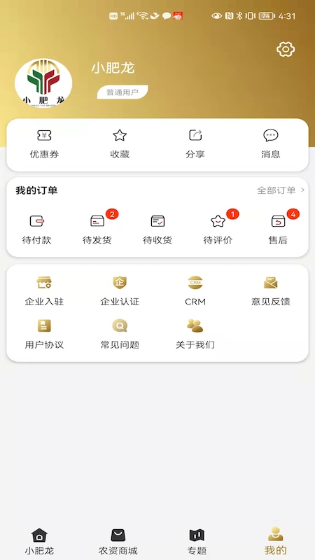 小肥龙