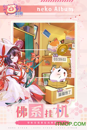 猫灵相册