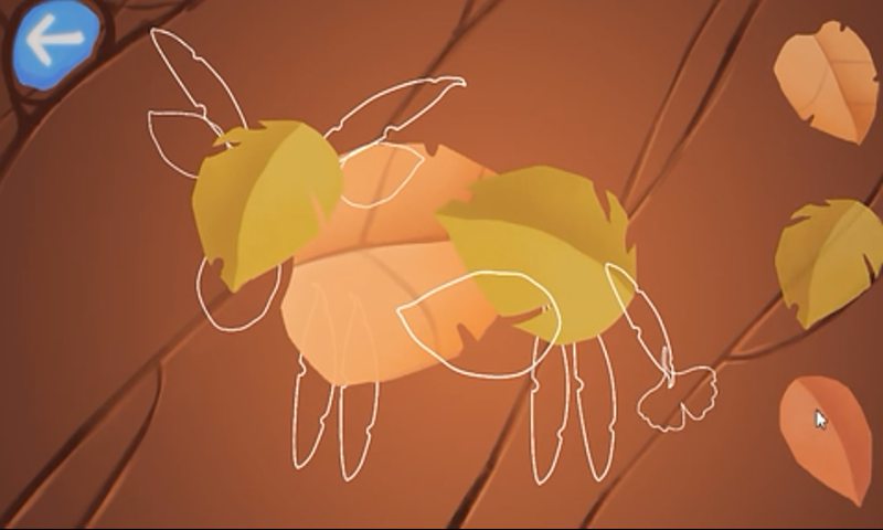 一叶落知天下 一叶落知天下