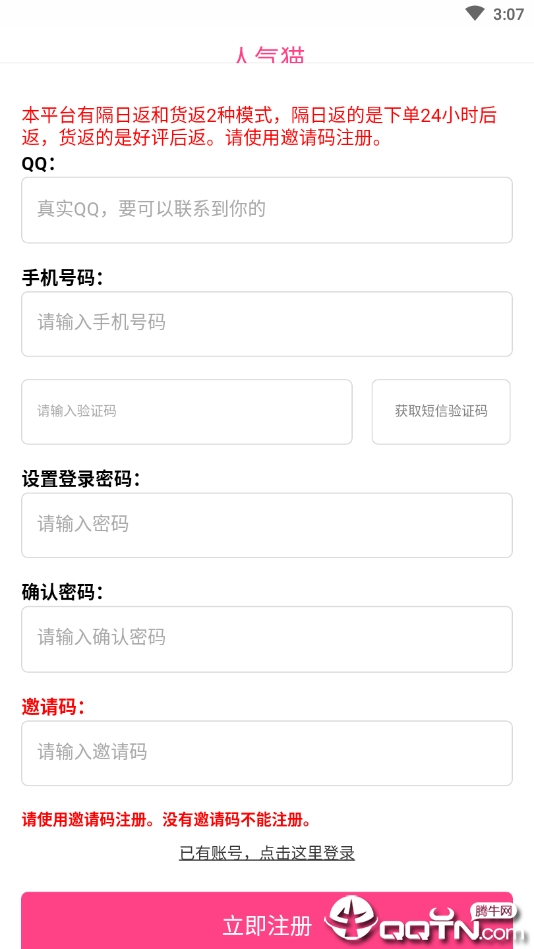 人气猫新