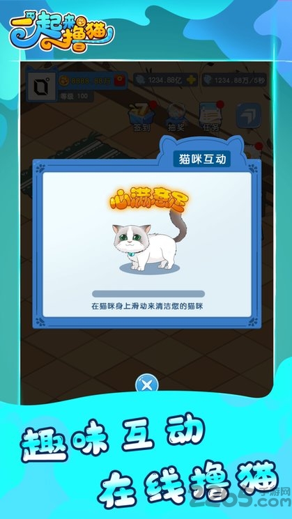撸猫