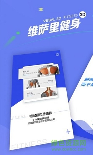维萨里健身