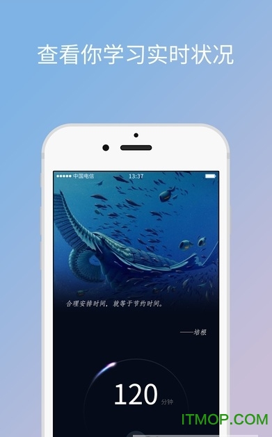 timing软件