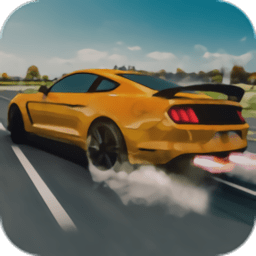 公路赛车手赛车(Highway Racer)