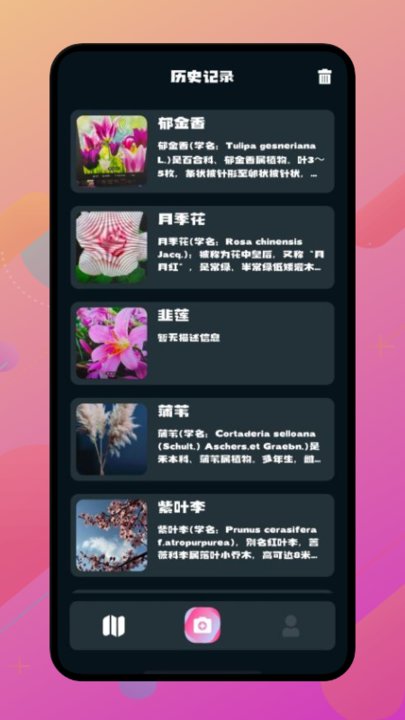 花儿爱识别