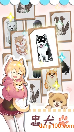 狗狗派对