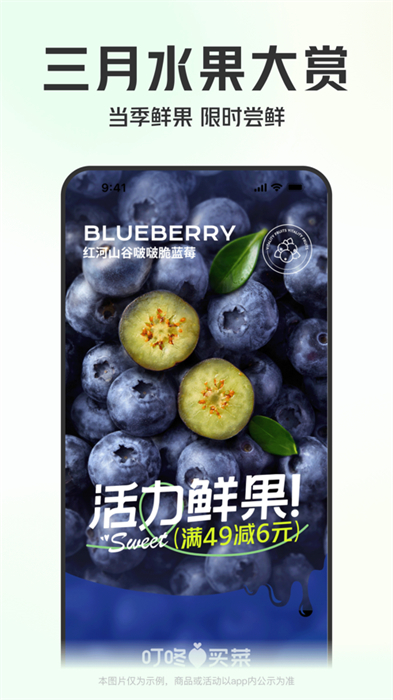 叮咚买菜app下载