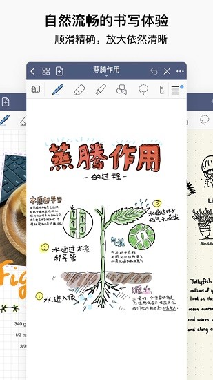 goodnotes5 ios版