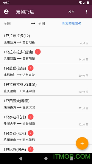 宠物托运