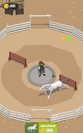 放置驯马Horse Rider
