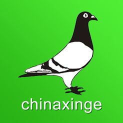 中国信鸽信息网
