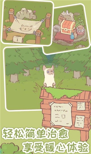 Cats&Soup