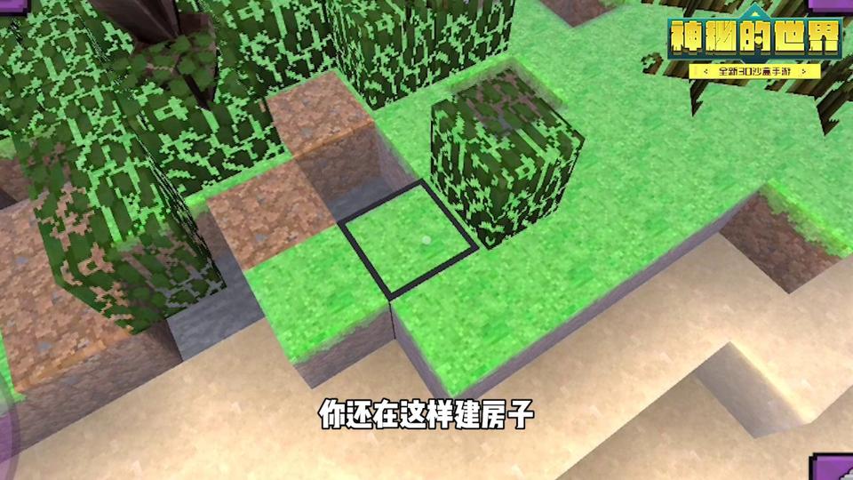 Sam(神秘的世界游戏)