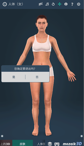 Human body (female)