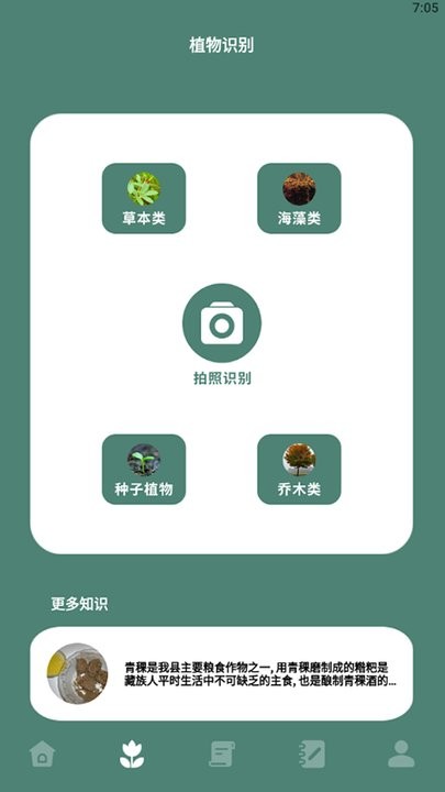 种植物语 安卓版v1.1