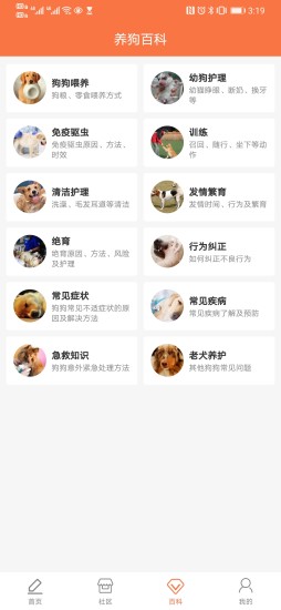 有狗