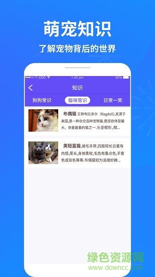 萌宠猫狗交流器