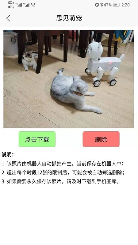 思见萌宠官方版