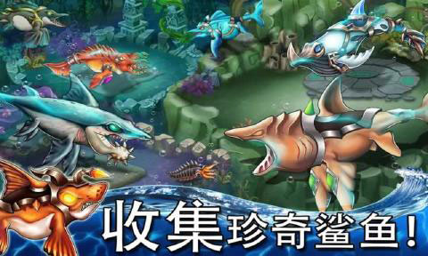 海怪城市官方版本