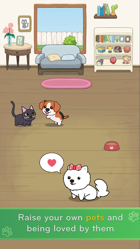 猫和